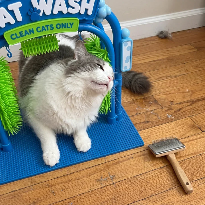 Cat Self-Grooming Station